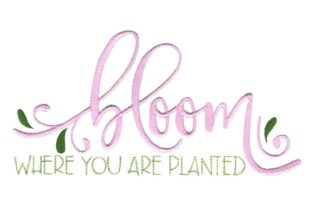 Bloom Where You Are Planted: A Designer’s Review