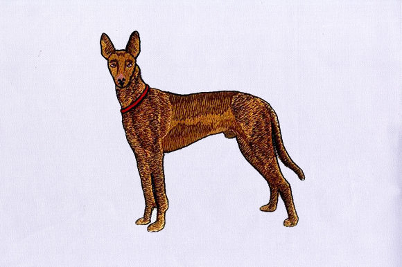 Brown Greyhound: A Designer’s Holiday Stitch Review