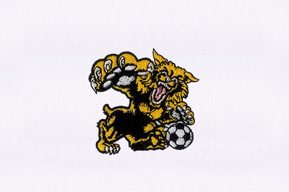 Cheetah Playing Soccer: A Seller’s Review