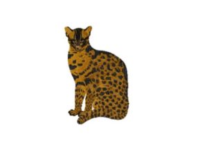 Fishing Cat: A Charming Embroidery Design for Handmade Gifts