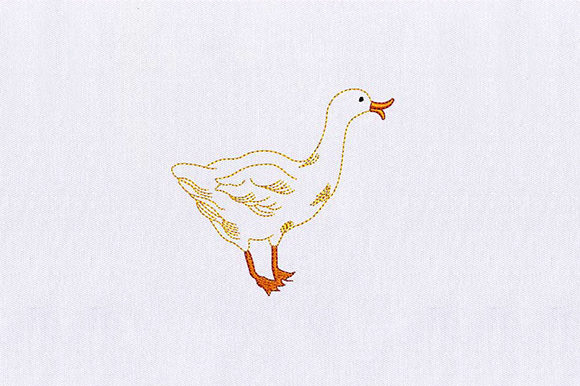 Golden Duck Embroidery: A Designer’s Review