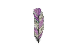 Purple Feather: A Designer’s Review for Real Projects
