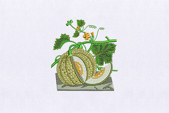 Vines Muskmelon: A Designer’s Review for Small Business Merch